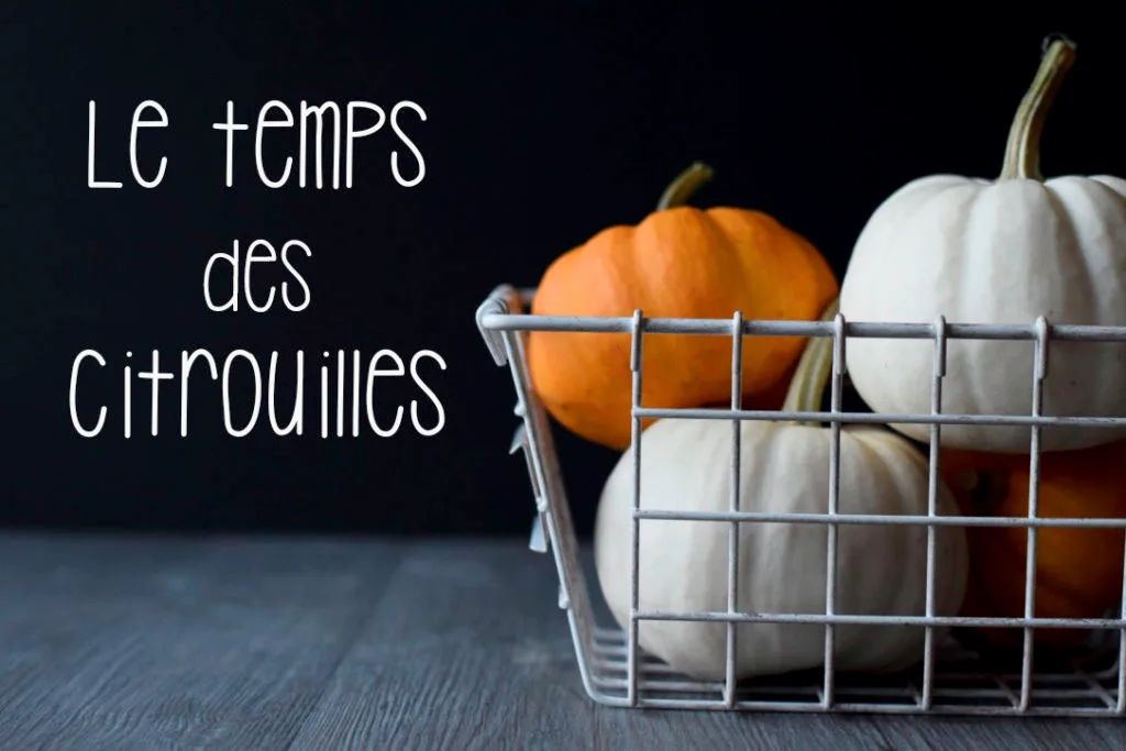 le-temps-des-citrouilles