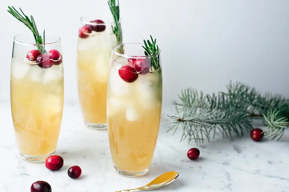 Mocktail au kombucha, pommes et canneberges