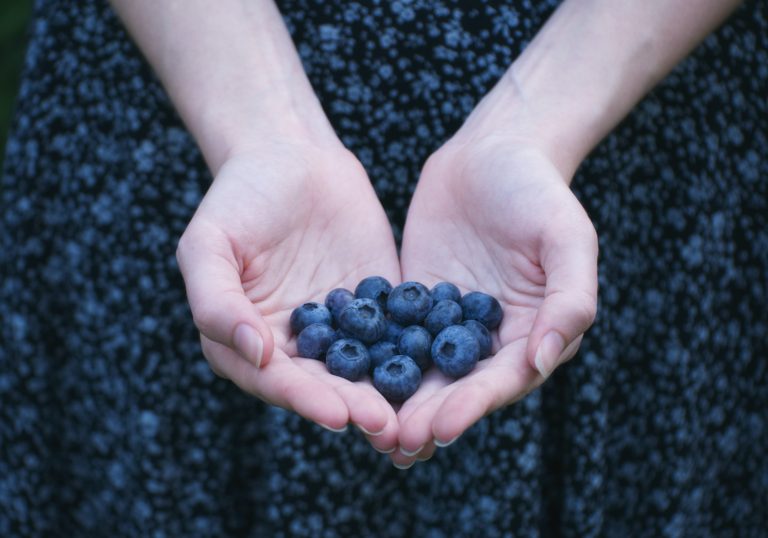 bleuets dans les mains en forme de coeur