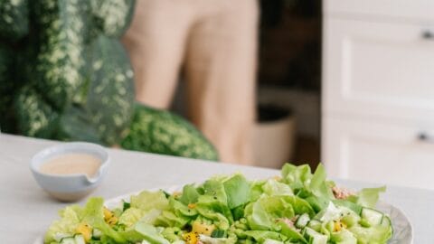 salade de thon et mangue avec laitue boston fraiche, lunch rapide et repas d'été