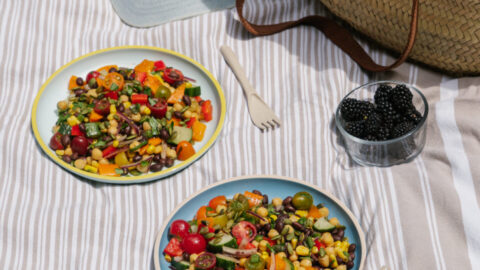 salade de pois chiches chili et lime arc-en-ciel salade froide pique-nique potluck facile lunch rapide